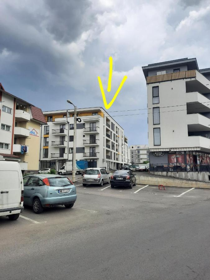 Coco * Baia Mare